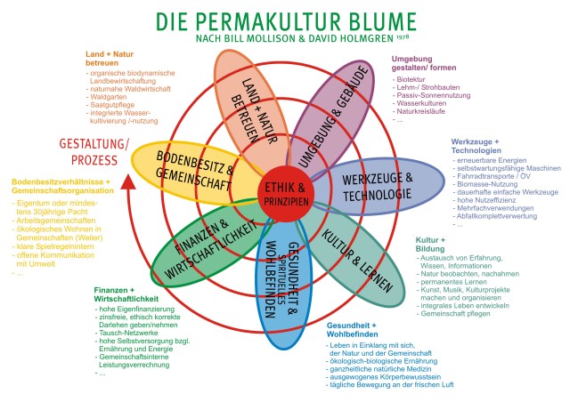 PK-blume-holmgren-text01